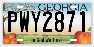 GA license plate PWY2871