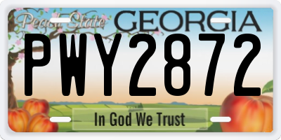 GA license plate PWY2872