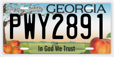 GA license plate PWY2891