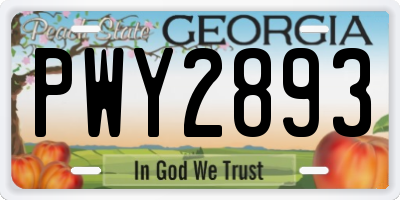 GA license plate PWY2893