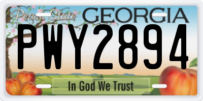 GA license plate PWY2894