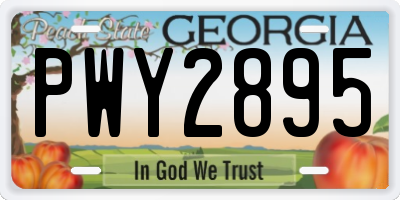 GA license plate PWY2895