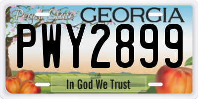 GA license plate PWY2899