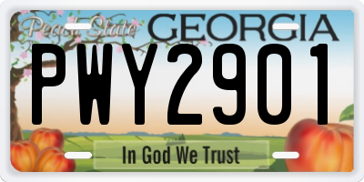 GA license plate PWY2901