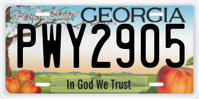 GA license plate PWY2905