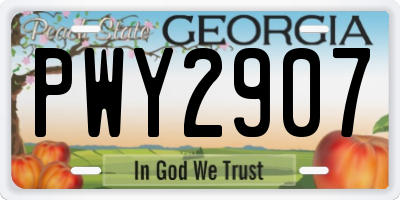 GA license plate PWY2907
