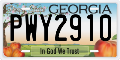 GA license plate PWY2910