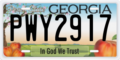 GA license plate PWY2917