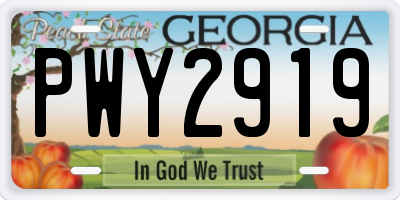GA license plate PWY2919