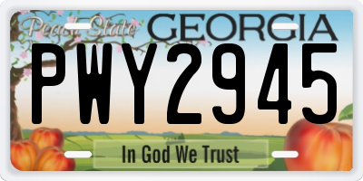 GA license plate PWY2945