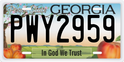 GA license plate PWY2959