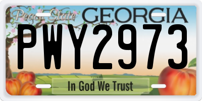 GA license plate PWY2973
