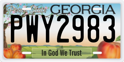 GA license plate PWY2983