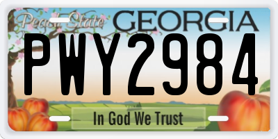 GA license plate PWY2984