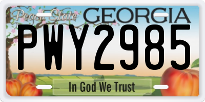 GA license plate PWY2985