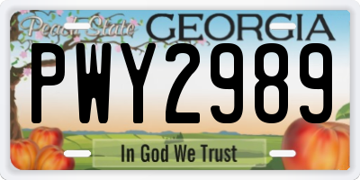 GA license plate PWY2989