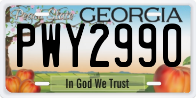 GA license plate PWY2990