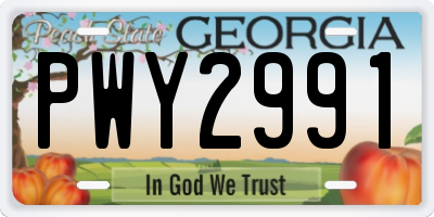 GA license plate PWY2991