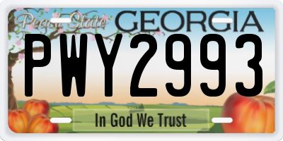 GA license plate PWY2993