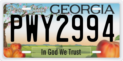 GA license plate PWY2994