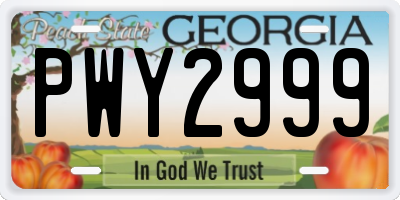 GA license plate PWY2999