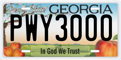 GA license plate PWY3000