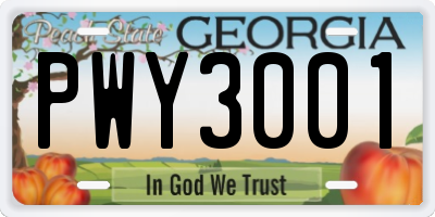 GA license plate PWY3001