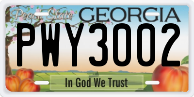 GA license plate PWY3002