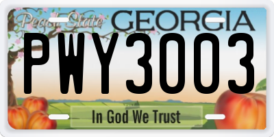 GA license plate PWY3003