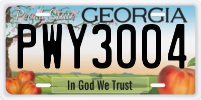 GA license plate PWY3004