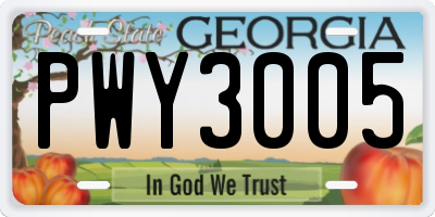 GA license plate PWY3005