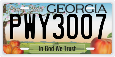 GA license plate PWY3007