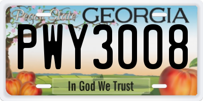 GA license plate PWY3008