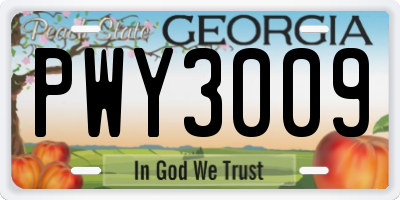 GA license plate PWY3009