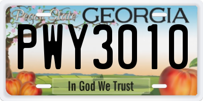 GA license plate PWY3010