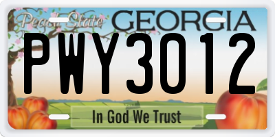 GA license plate PWY3012