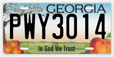 GA license plate PWY3014