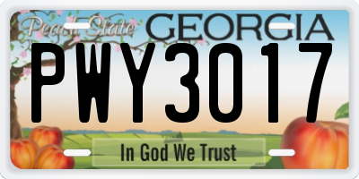 GA license plate PWY3017