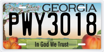 GA license plate PWY3018