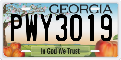 GA license plate PWY3019