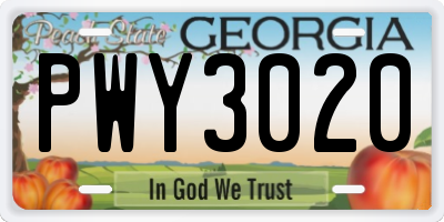 GA license plate PWY3020