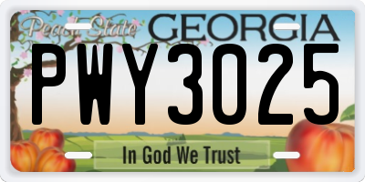 GA license plate PWY3025