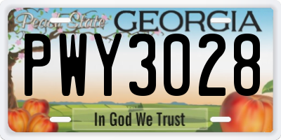 GA license plate PWY3028