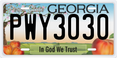 GA license plate PWY3030