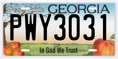 GA license plate PWY3031