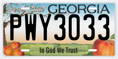 GA license plate PWY3033
