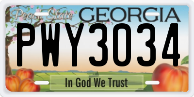 GA license plate PWY3034
