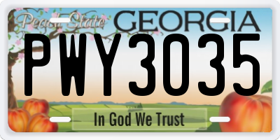GA license plate PWY3035