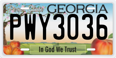GA license plate PWY3036