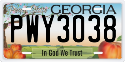 GA license plate PWY3038